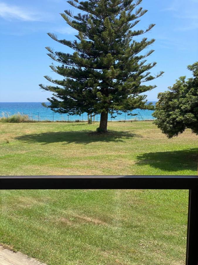 Appartement N 216 Moriani Plage Santa-Lucia-di-Moriani Esterno foto