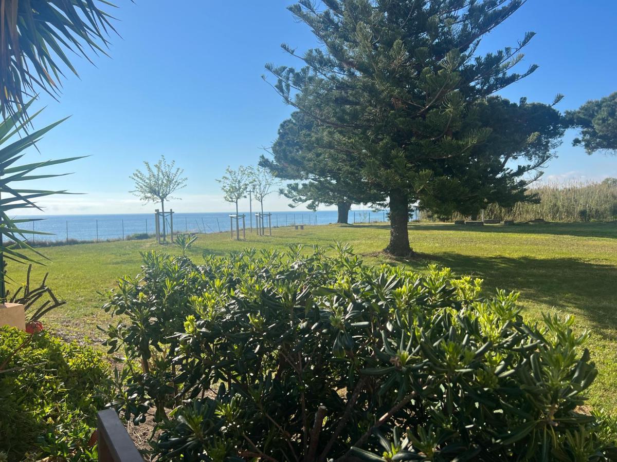 Appartement N 216 Moriani Plage Santa-Lucia-di-Moriani Esterno foto